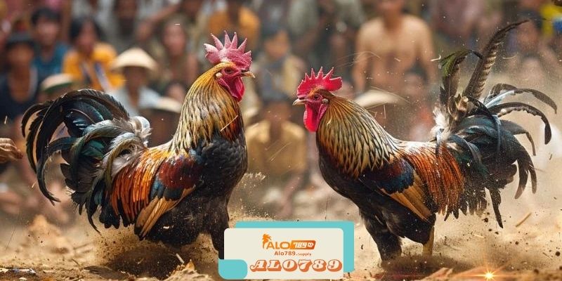 Alo789 - Nhà Cái Game Bài và Thể Thao Uy Tín 3 Các Ưu Điểm Nổi Bật Của Alo789