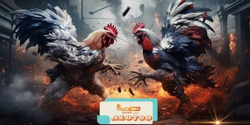 Alo789 - Nhà Cái Game Bài và Thể Thao Uy Tín 4 Trải Nghiệm Chơi Game Tại Alo789